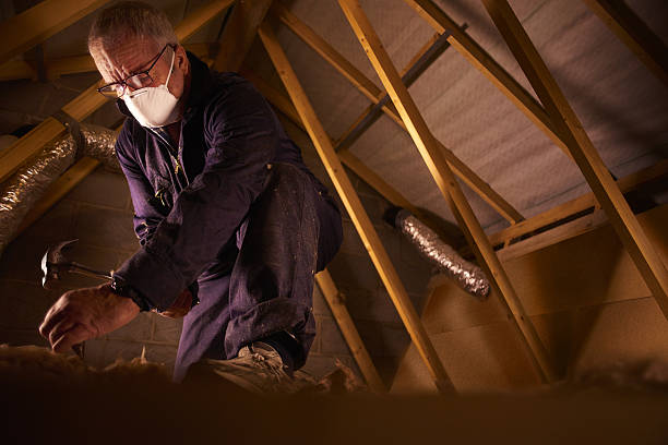 Best Eco-Friendly Insulation in Mcconnelsville, OH